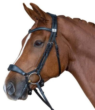 Tota Comfort System noseband