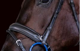 Noseband with metal sliding system attached to cheekpiece