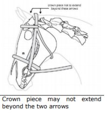 Stubben Snaffle Bridle 2500 Freedom
