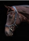 Micklem-style bridle