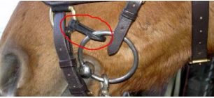 Micklem bridle with clips