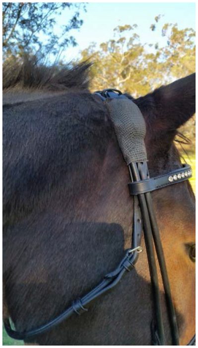 Added padding on bridle