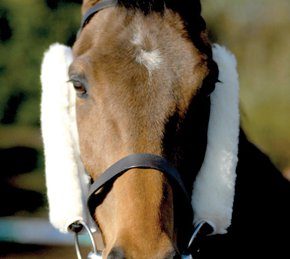 Blinkers of any type, including wool padding on cheekpiece