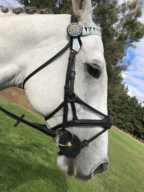 Three-way noseband