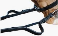Elastic reins