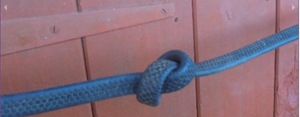 Reins with hand stoppers or knotted reins