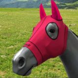Tight-fitting head cover or titanium hoods are not permitted when horses are ridden. They are permitted in the stables/yards and when tied to horse floats.