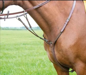 Running martingales are allowed in warm-up only on a snaffle bridle, but rein stoppers must be used