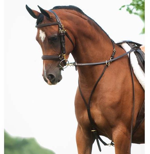 Arabian martingale (not allowed on grounds)