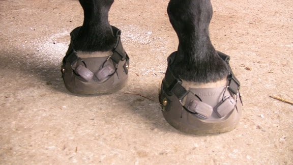 Hoof boots