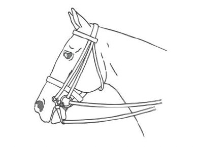 Double bridle
