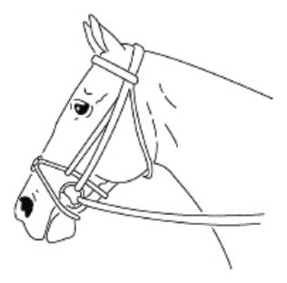 Snaffle bridle
