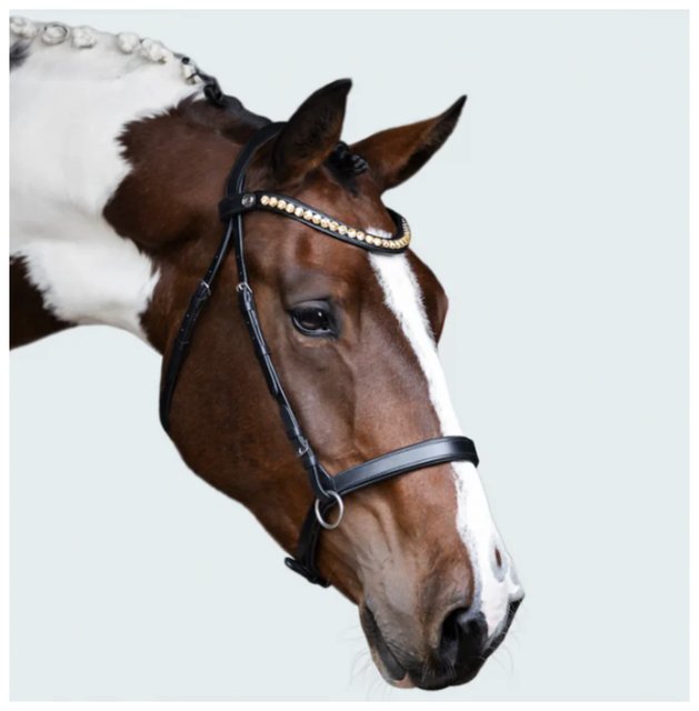 Bitless bridles (e.g. hackamores)