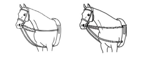 Side reins & lungeing cavesson