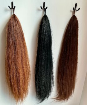 False tail / tail extensions