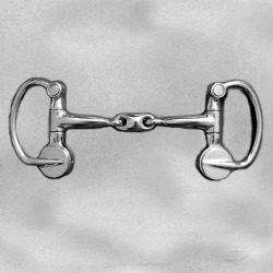 Bits with interference on the rings