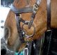 Bit clips on ergonomic bridles