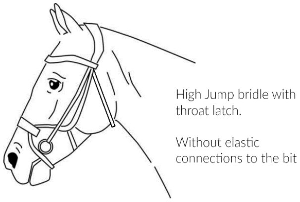 PS of Sweden High Jump bridle