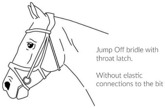 PS of Sweden Jump Off bridle